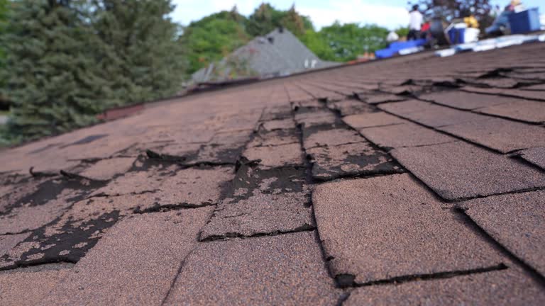 Best Hot Roofs  in Otsego, MI