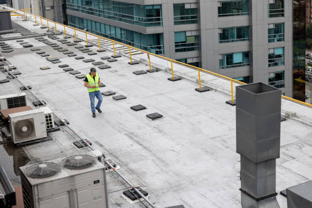 Best Skylight Installation and Repair  in Otsego, MI