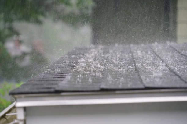Best Wood Shake Roofing  in Otsego, MI