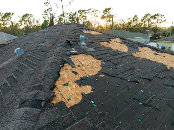 Best Metal Roofing Installation  in Otsego, MI